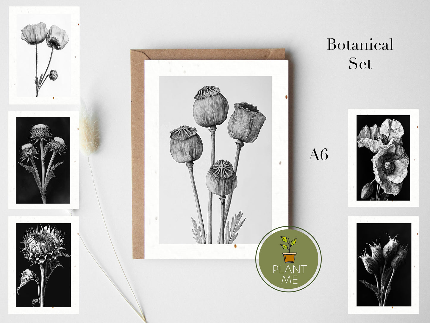 The Monochromatic Botanical Card Set
