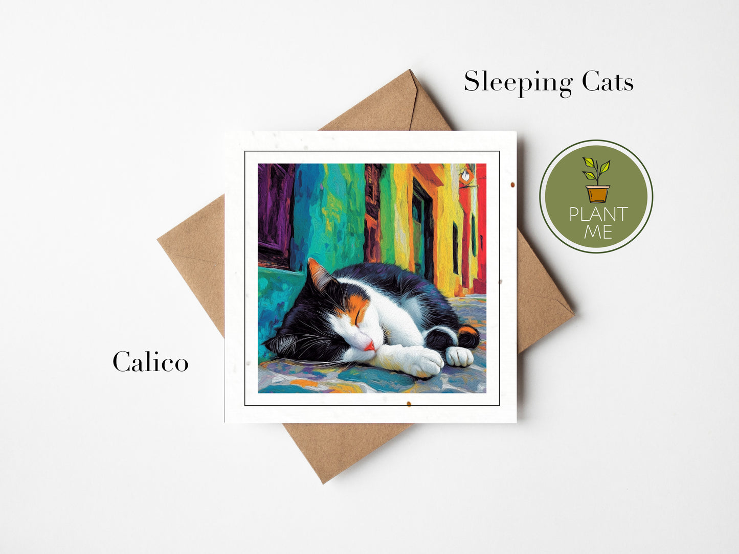 The Sleeping Street Cats Collection -Square Cards