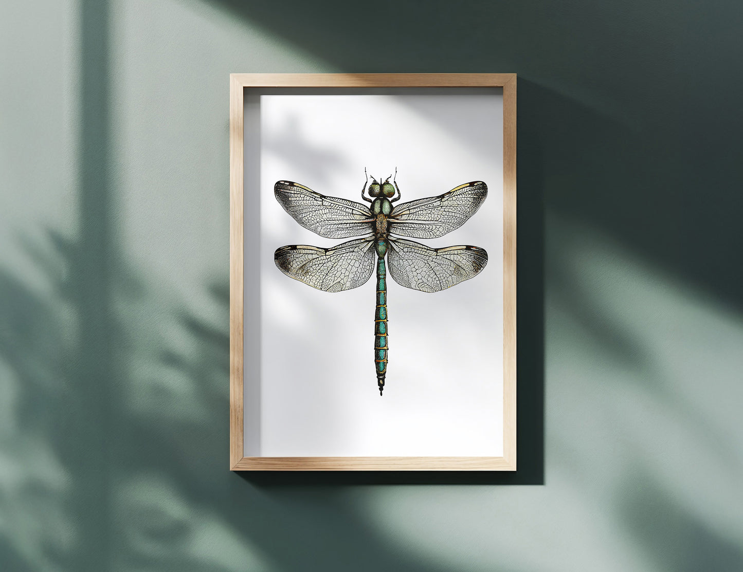 The Dragonfly Print