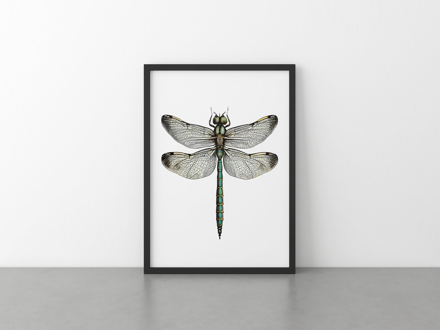 The Dragonfly Print