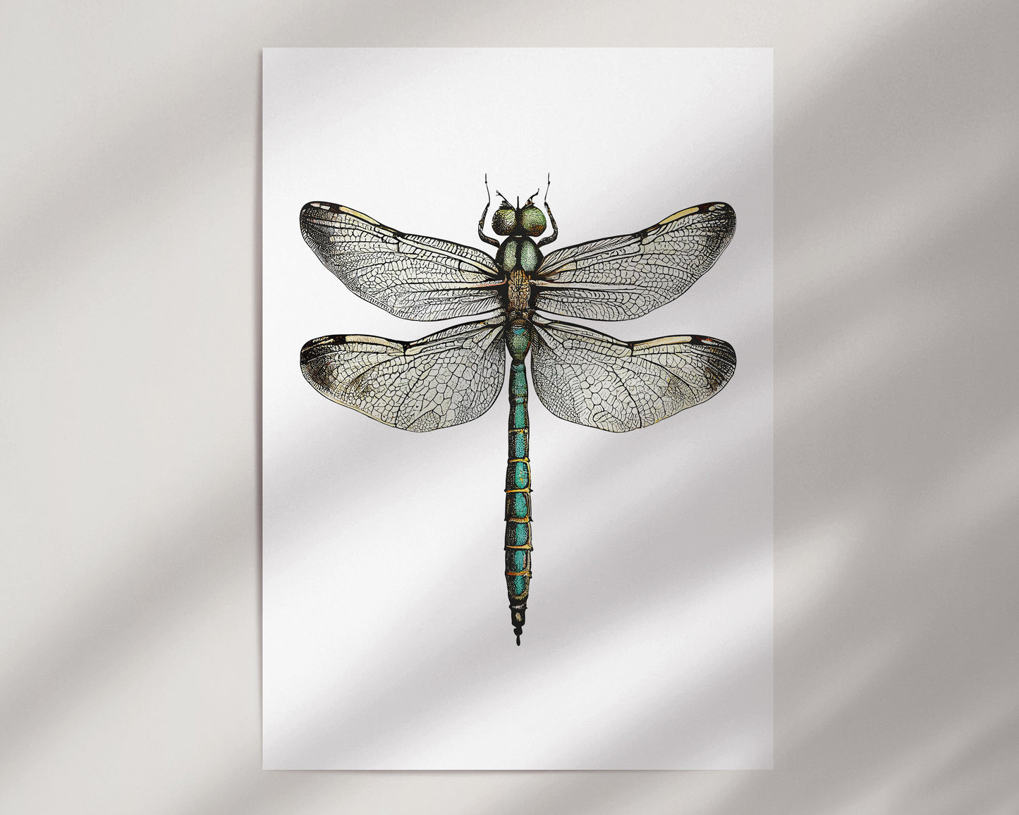 The Dragonfly Print