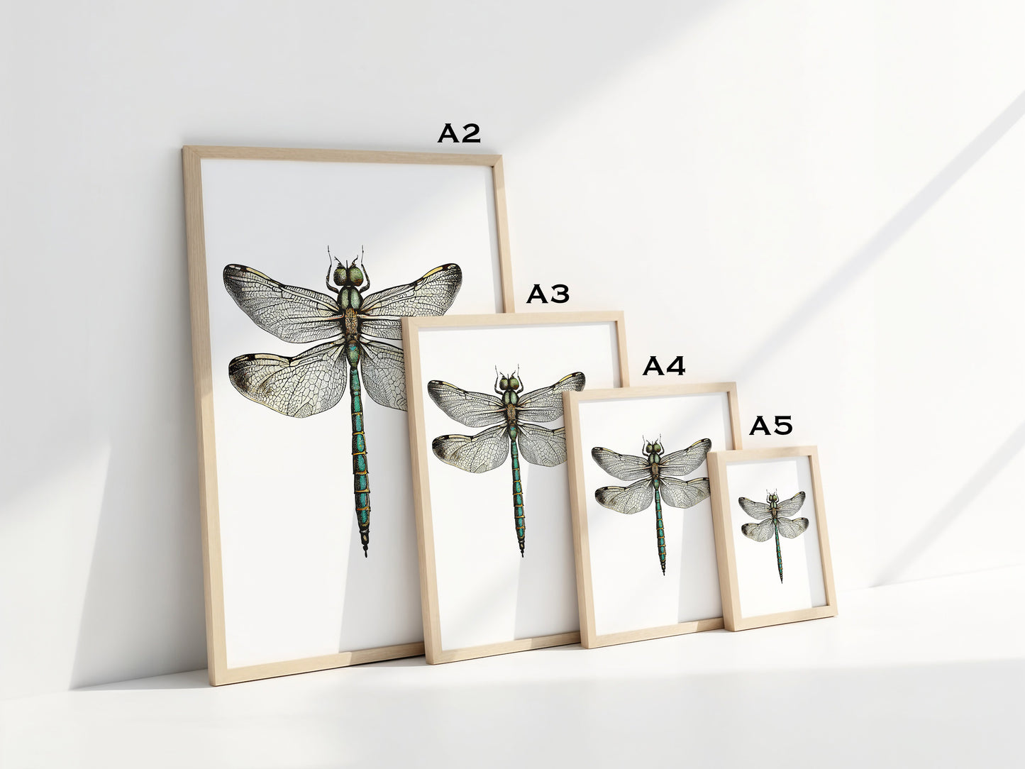 The Dragonfly Print