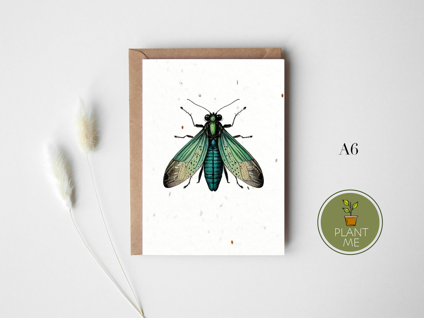 The Insect Collection Card Set