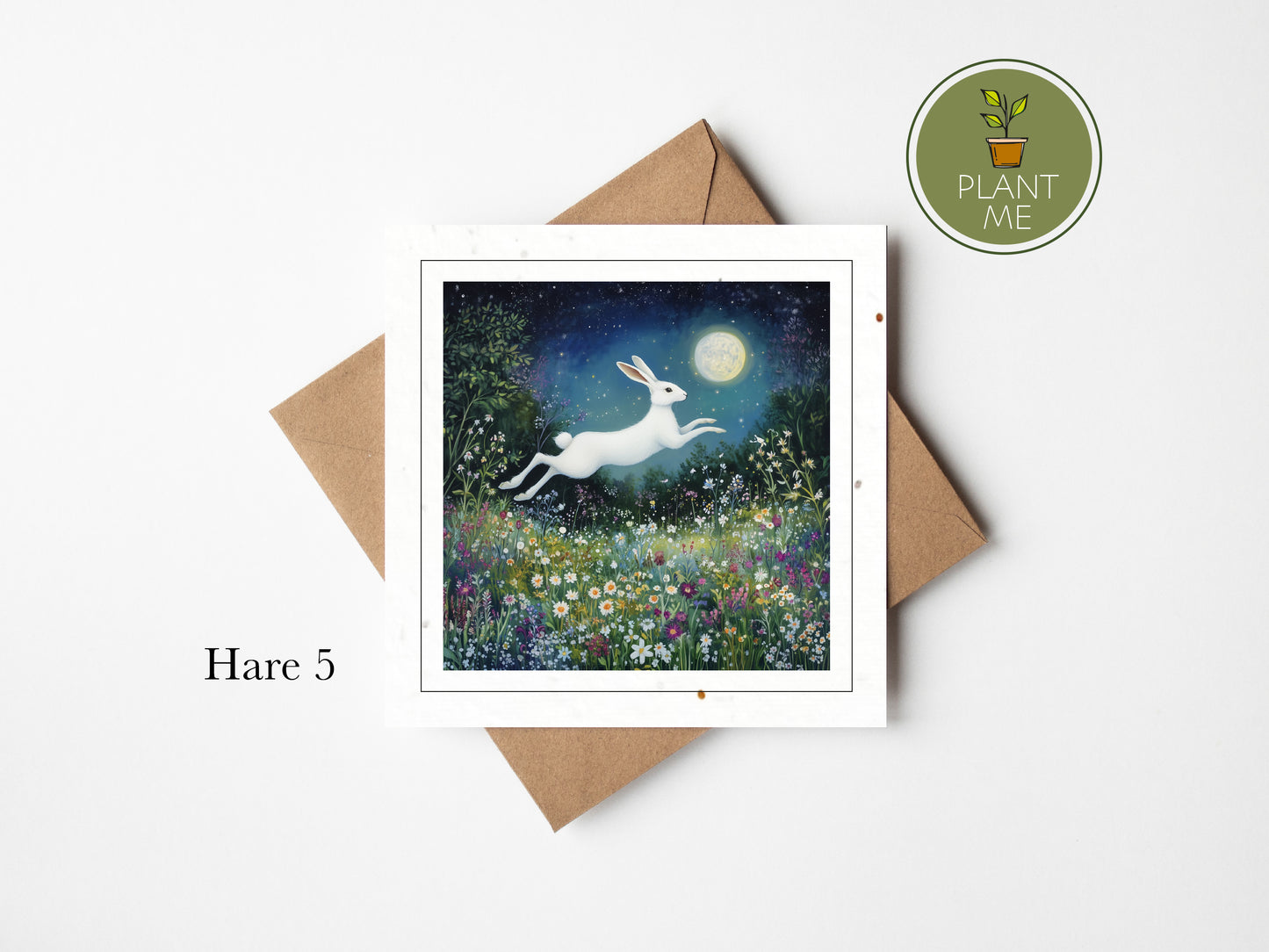 The Spring Hare Collection- Square Cards