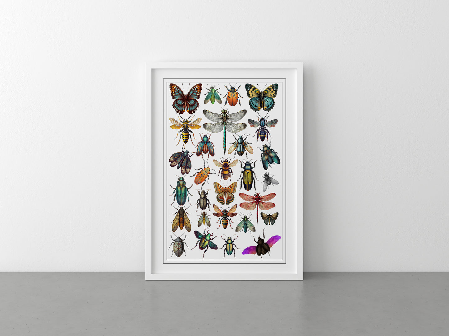 Insect Chart Print