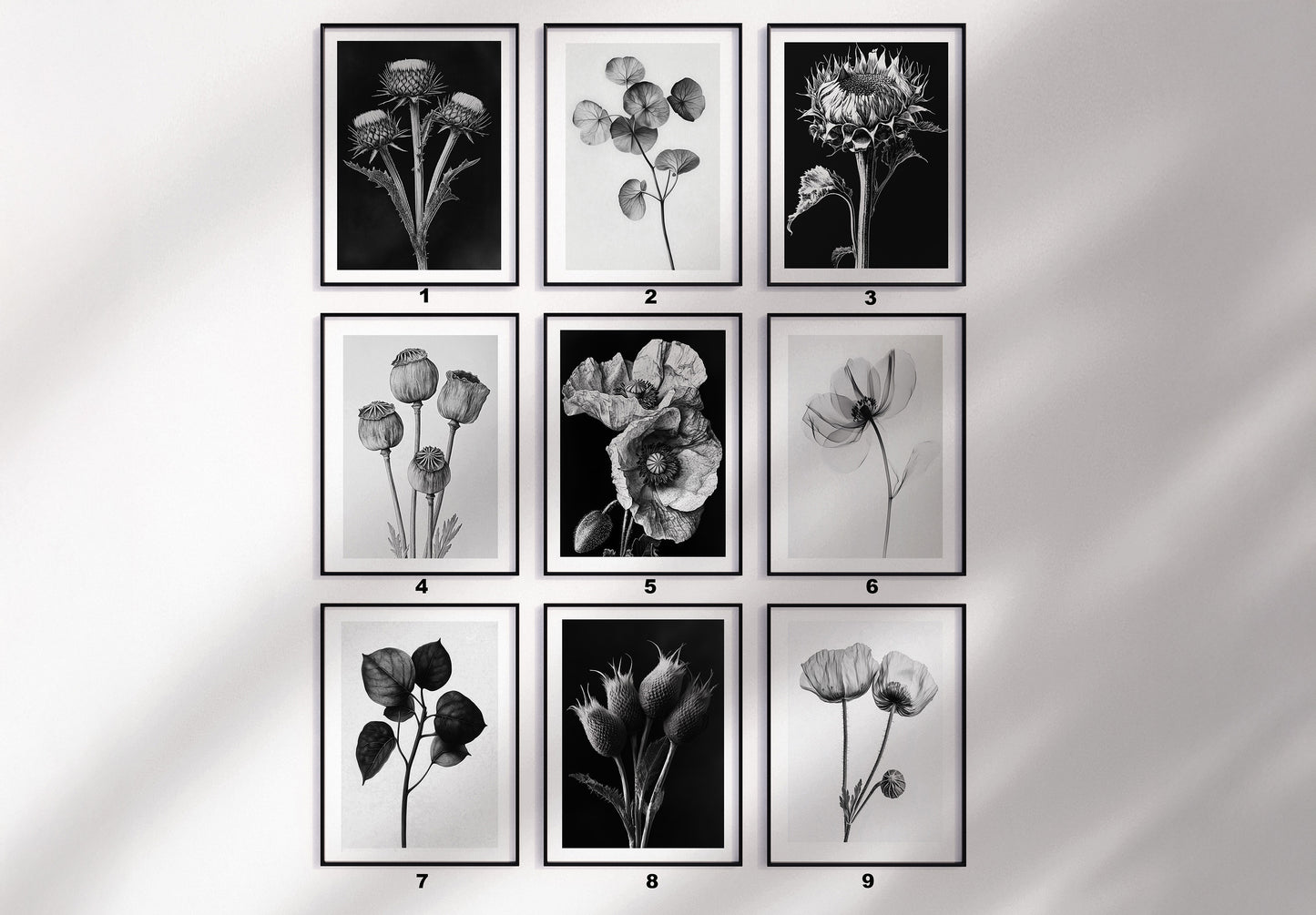 The Monochromatic Botanical Card Set