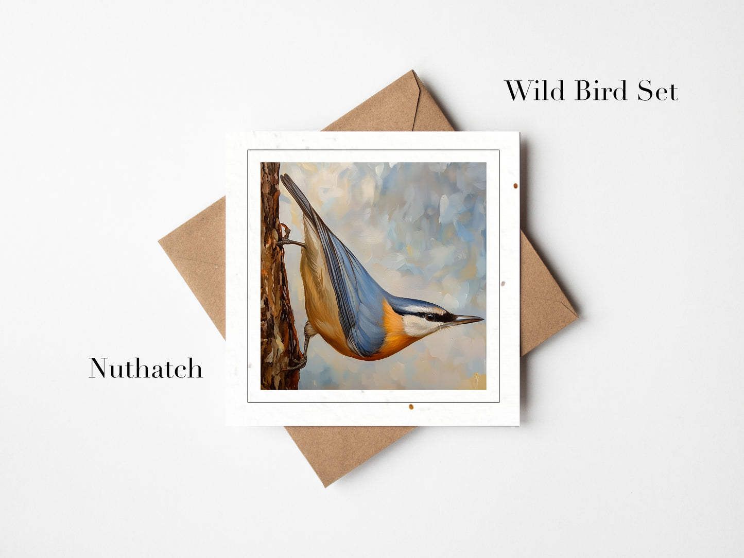 The Wild Bird Collection -Square Cards