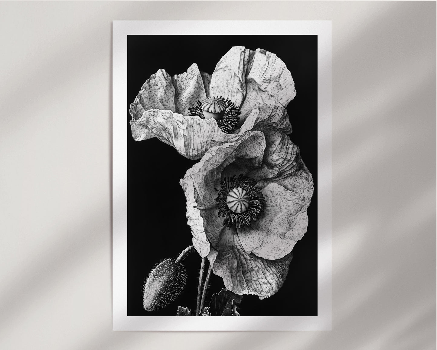 The Monochromatic Botanical Print Set