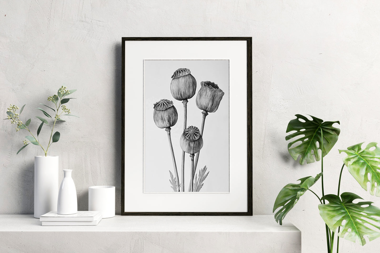 The Monochromatic Botanical Print Set