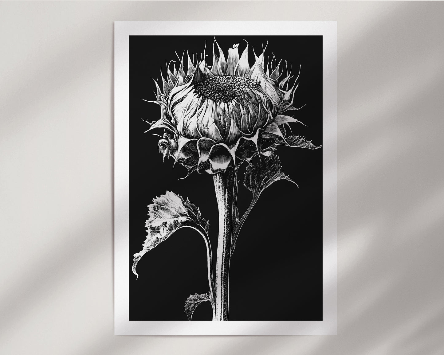 The Monochromatic Botanical Print Set