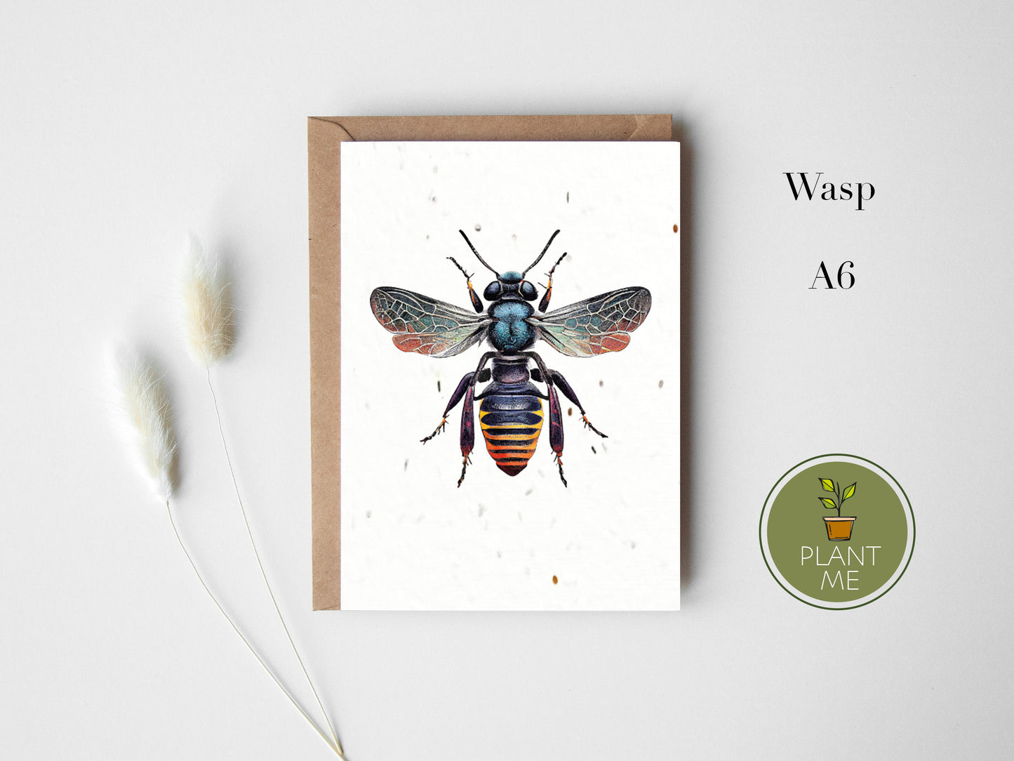 The Insect Collection Card Set