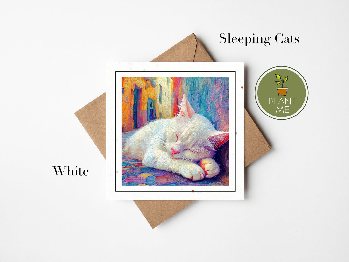 The Sleeping Street Cats Collection -Square Cards