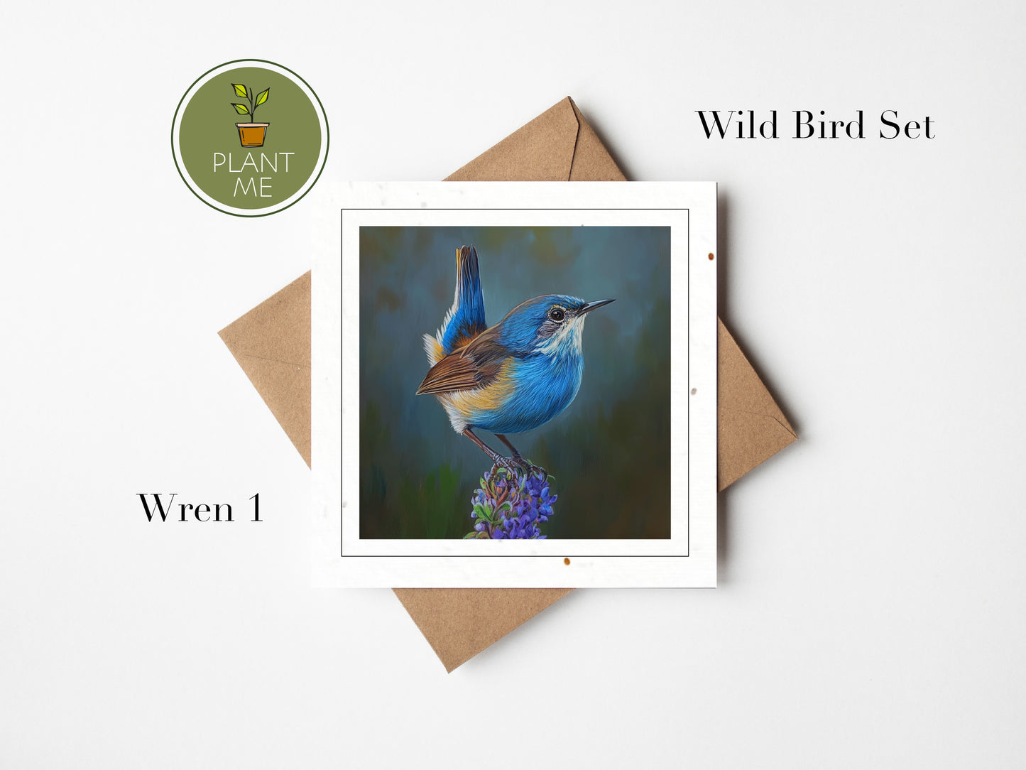 The Wild Bird Collection -Square Cards