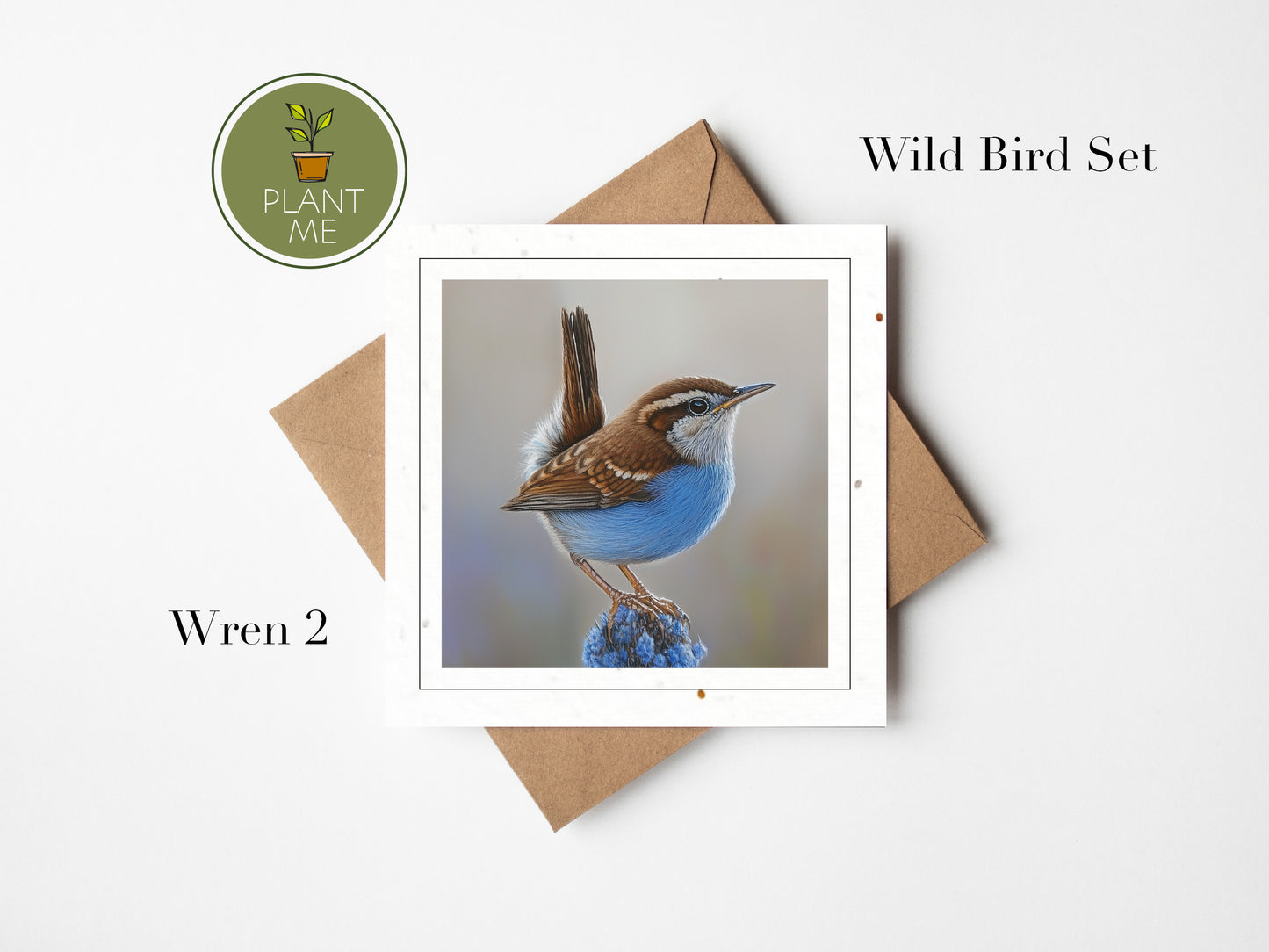 The Wild Bird Collection -Square Cards