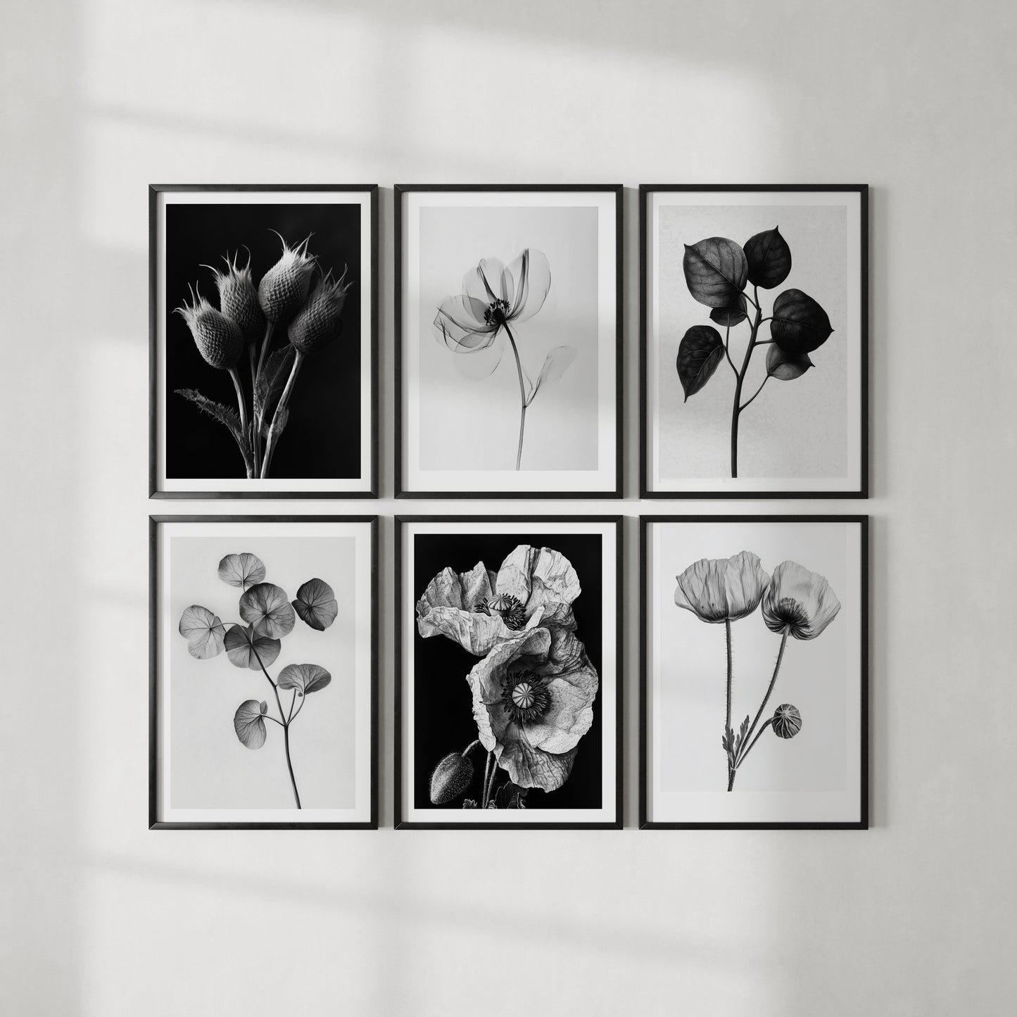 The Monochromatic Botanical Print Set