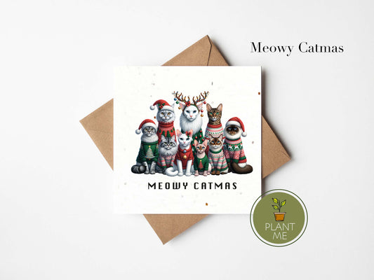 Meowy Catmas Christmas Card