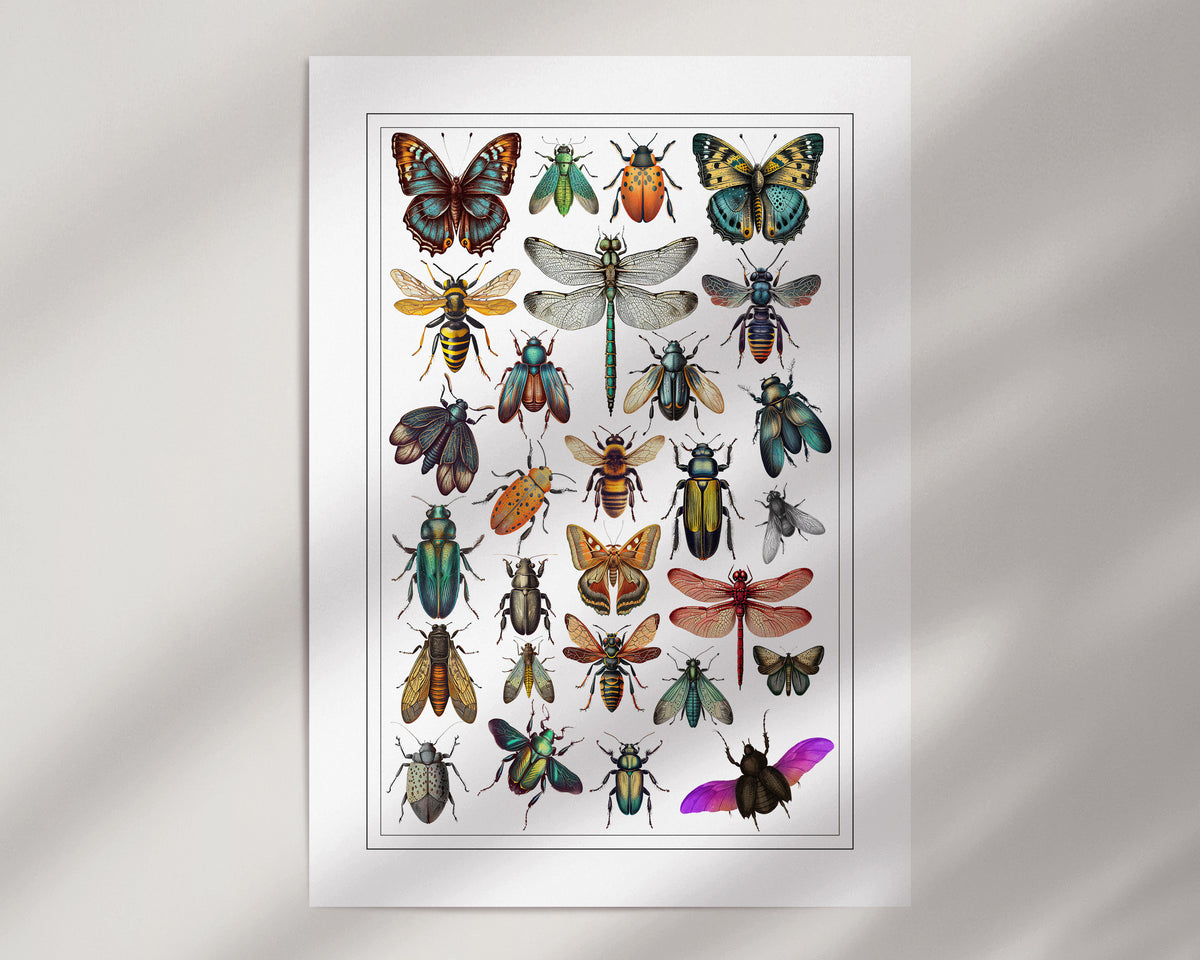 Insect Chart Print – Christine Lavelle Art Cards & Prints